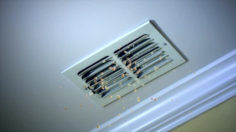 Best Commercial Air Duct Cleaning  in Mapleton, UT