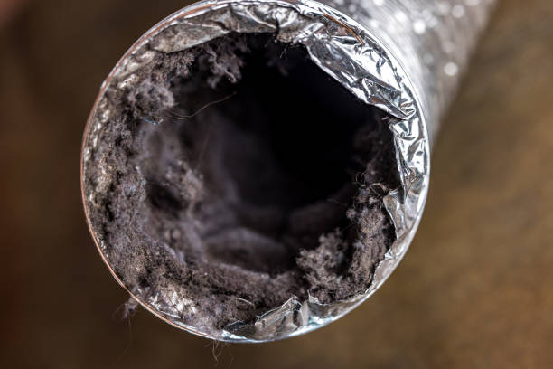 Best Air Duct Mold Removal  in Mapleton, UT